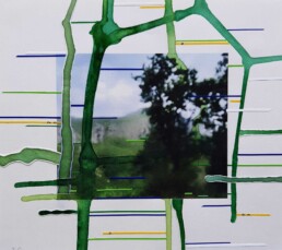 Obra Reciente. Isabel Carnicer