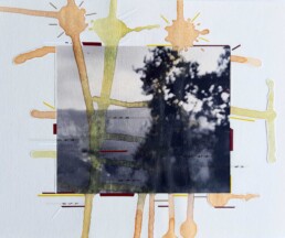 Obra Reciente. Isabel Carnicer