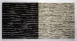 CUANDO LOS OPUESTOS SE ATRAEN 100&times;200 cm Acr&iacute;lico s/papel, rasgado a mano y encolado s/ madera 2007