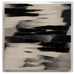 CUERPO FRAGMENTADO I 40&times;40 cm Imagen trasferida a papel, rasgado a mano y encolado s/lienzo 2008