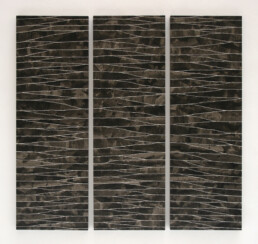 ENCUENTROS (triptych) 150x155 cm Acrylic on paper, hand ripped and glued on wood 2007