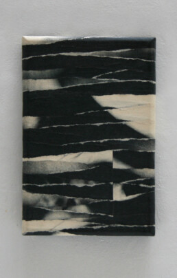 GEOGRAF&Iacute;A DE UN CUERPO 24&times;16 cm Imagen trasferida a papel, rasgado a mano y encolado s/lienzo 2006