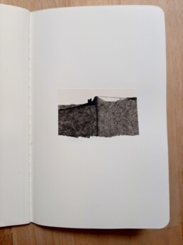 Horizontes 3 Isabel Carnicer 2025