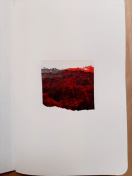 Horizontes 2 Isabel Carnicer 2025